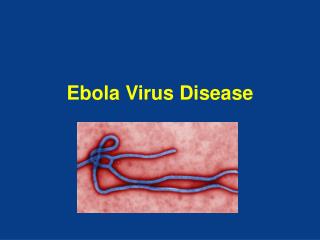 Ebola Virus Disease