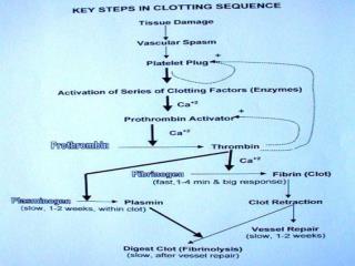 platelet function: