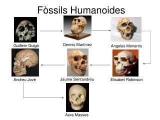 Fòssils Humanoides