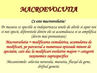MACROEVOLUTIA