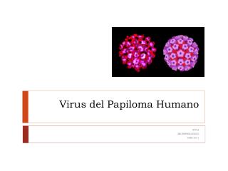 Virus del Papiloma Humano