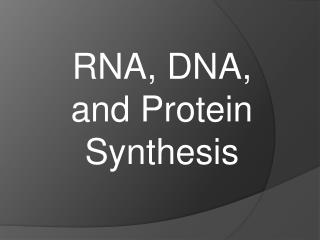 RNA, DNA, and Protein Synthesis