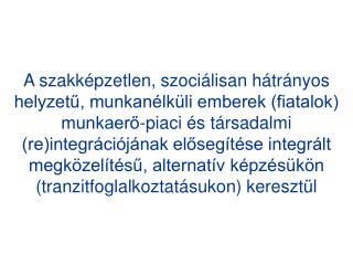 Néhány adat &quot;A fiatalok munkaerő-piaci helyzetéről&quot; c. KSH felvételből (2002. IV. negyedév)
