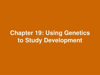 Chapter 19: Using Genetics to Study Development