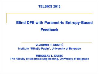 TELSIKS 2013 Blind DFE with Parametric Entropy-Based Feedback