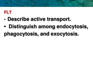 FLT Describe active transport. • Distinguish among endocytosis ,