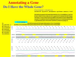 Annotating a Gene Do I Have the Whole Gene?