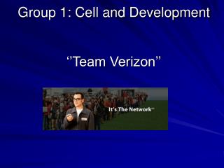 Group 1: Cell and Development ‘’Team Verizon’’