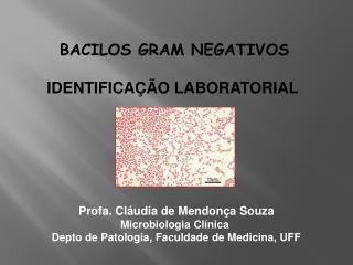 BACILOS GRAM NEGATIVOS IDENTIFICAÇÃO LABORATORIAL