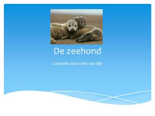 De zeehond