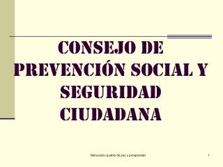 CONSEJO DE PREVENCIÓN SOCIAL Y SEGURIDAD CIUDADANA