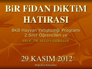 BiR FiDAN DiKTiM HATIRASI