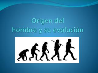 Origen del hombre y su evolución