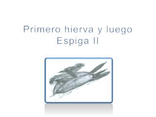 Primero hierva y luego Espiga II