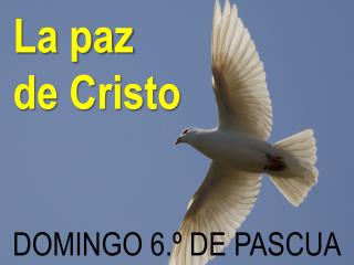 DOMINGO 6.º DE PASCUA