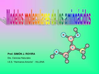 Modelos moleculares de los aminoácidos