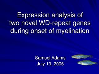 Expression analysis of two novel WD-repeat genes during onset of myelination