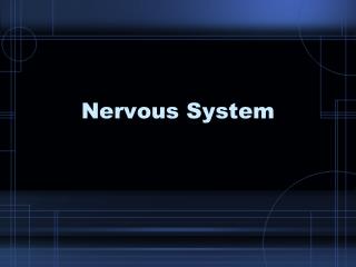 Nervous System