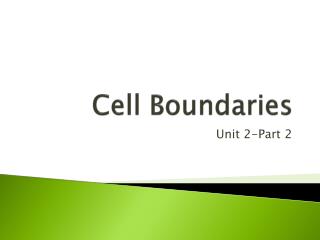 Cell Boundaries