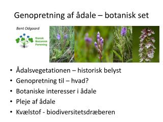 Genopretning af ådale – botanisk set