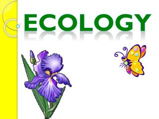 Ecology