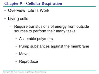 Chapter 9 – Cellular Respiration