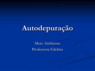 Autodepuração