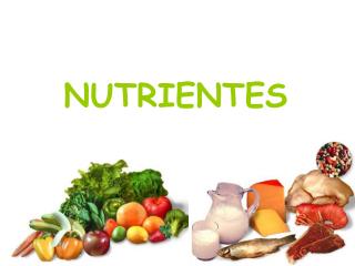 NUTRIENTES