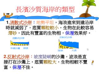長濱沙質海岸的類型