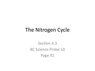 The Nitrogen Cycle
