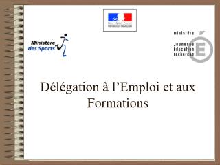 Délégation à l’Emploi et aux Formations