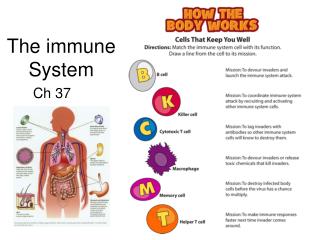 The immune System