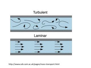 cebm.ac.uk/pages/mass-transport.html