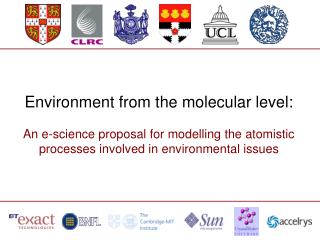 Environment from the molecular level: