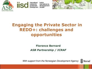 Engaging the Private Sector in REDD+: challenges and opportunities