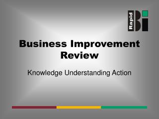 Business Improvement Review