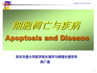 细胞凋亡与疾病 Apoptosis and Disease