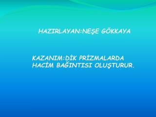 HAZIRLAYAN:NEŞE GÖKKAYA