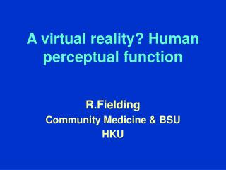 A virtual reality? Human perceptual function