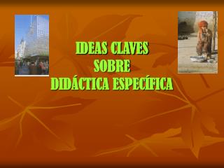 IDEAS CLAVES SOBRE DIDÁCTICA ESPECÍFICA
