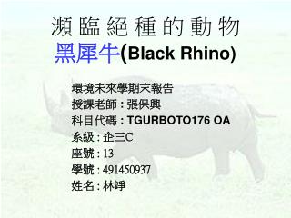 瀕 臨 絕 種 的 動 物 黑犀牛 ( Black Rhino)