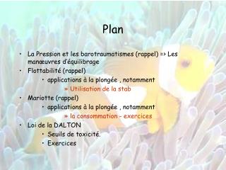 Plan