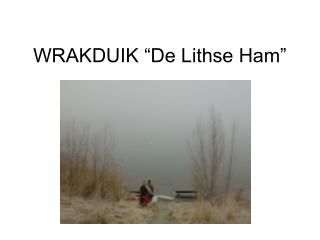 WRAKDUIK “De Lithse Ham”