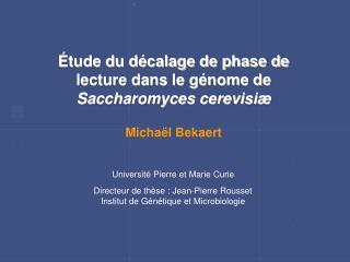 Étude du décalage de phase de lecture dans le génome de Saccharomyces cerevisiæ