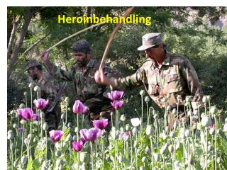 Heroinbehandling