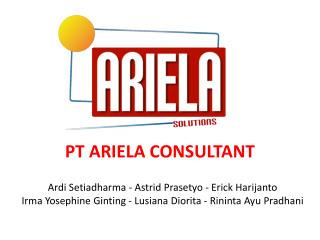 PT ARIELA CON SULTANT