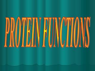 PROTEIN FUNCTIONS