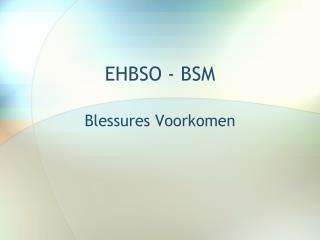 EHBSO - BSM