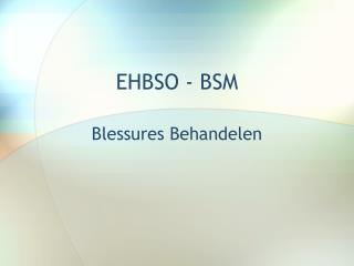 EHBSO - BSM