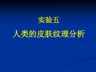 实验五 人类的皮肤纹理分析